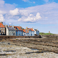 Buy canvas prints of Houses on the Coast, St Monans, Fife, Scotland by Kasia Design
