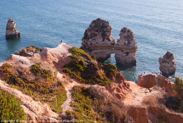 Algarve Coast near Lagos, Portugal Picture Board by Kasia Design