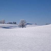 Buy canvas prints of Bavarian Winter Wonderland by Kasia Design