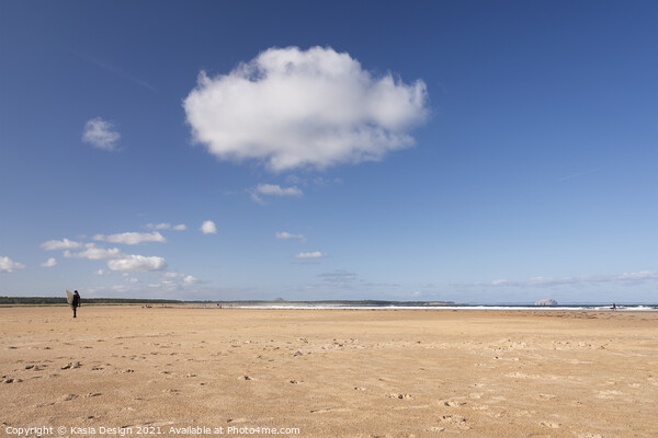 Belhaven Beach, Dunbar, East Lothian, Scotland Picture Board by Kasia Design