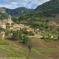 Buy canvas prints of Mallorca: Valldemossa and Countryside by Kasia Design