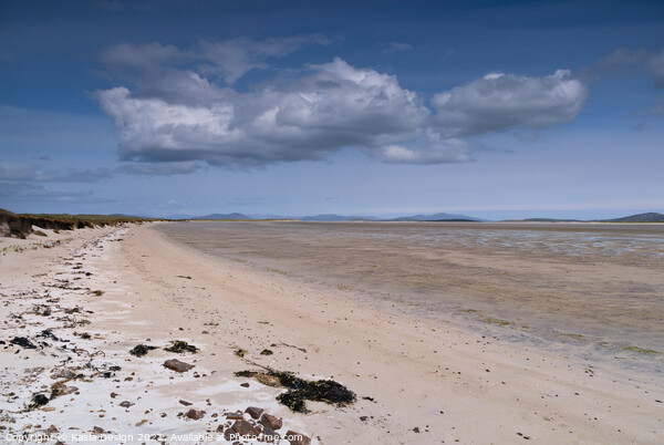 Low Tide, North Uist, Outer Hebrides Picture Board by Kasia Design