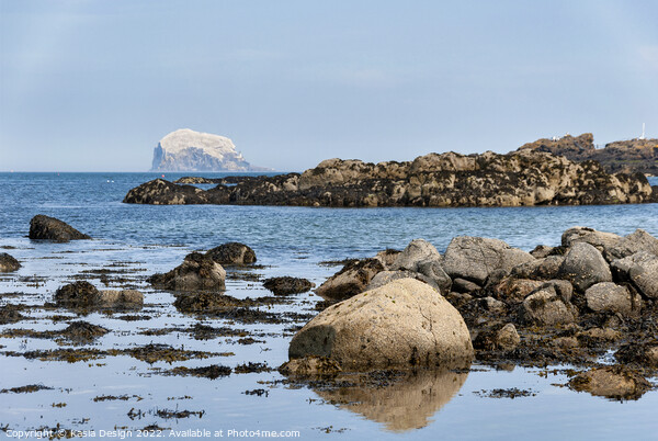 Bass Rock beyond the Rocks, North Berwick Picture Board by Kasia Design