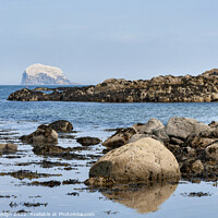 Buy canvas prints of Bass Rock beyond the Rocks, North Berwick by Kasia Design