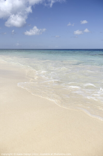 Pink Beach, Bonaire, Dutch Caribbean Picture Board by Kasia Design