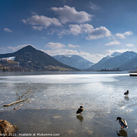 Buy canvas prints of Ducks on Ice, Schliersee, Bavaria, Germany by Kasia Design