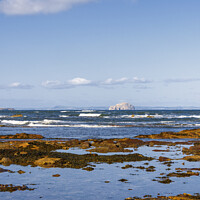 Buy canvas prints of Belhaven Bay and Bass Rock by Kasia Design