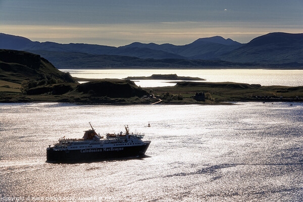 Evening Ferry from Oban to Mull, Scotland Picture Board by Kasia Design