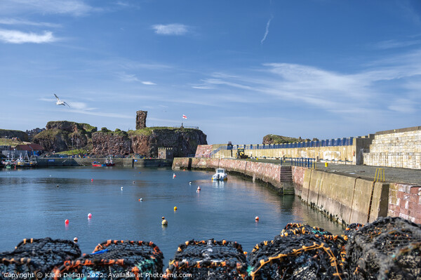Historic Dunbar Harbour, East Lothian, Scotland Picture Board by Kasia Design