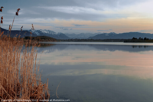 Dusk Light on Lake Rieg, Upper Bavaria, Germany Picture Board by Kasia Design
