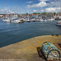 Buy canvas prints of Anstruther Harbour and Marina, Fife by Kasia Design