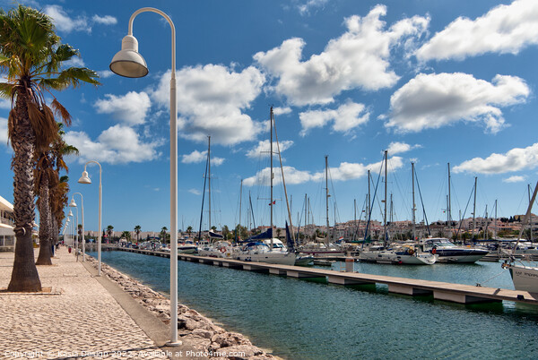 Marina de Lagos, Portugal Picture Board by Kasia Design