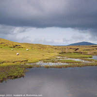 Buy canvas prints of Remote Loch, North Uist, Outer Hebrides, Scotland by Kasia Design