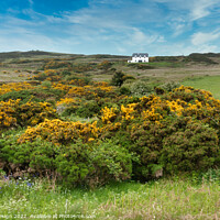 Buy canvas prints of House On the Hillside, Islay, Scotland by Kasia Design