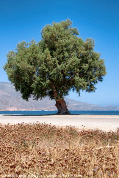 Kissamos, Crete, Greece Picture Board by Kasia Design