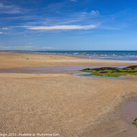 Buy canvas prints of St Andrews West Sands Beach by Kasia Design