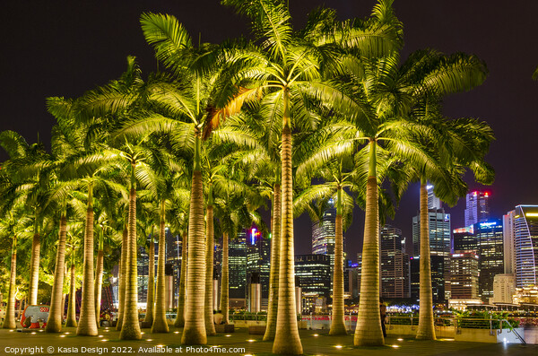 Palm Trees in Marina Bay, Singapore Picture Board by Kasia Design