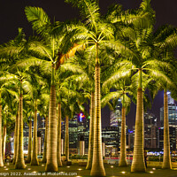 Buy canvas prints of Palm Trees in Marina Bay, Singapore by Kasia Design