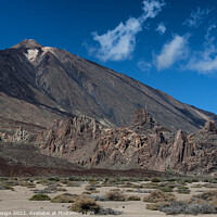 Buy canvas prints of El Teide: Looking Up in Wonder by Kasia Design