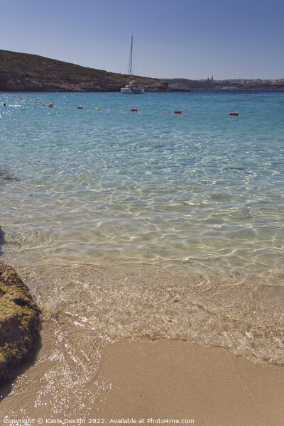 Blue Lagoon, Comino, Republic of Malta Picture Board by Kasia Design