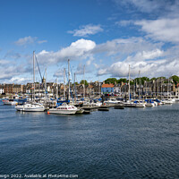 Buy canvas prints of Anstruther Harbour and Marina by Kasia Design