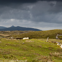 Buy canvas prints of Peaceful Resting Place on North Uist by Kasia Design