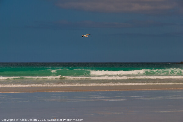 Seagull Soaring above the Atlantic Picture Board by Kasia Design