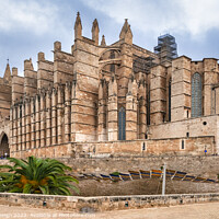 Buy canvas prints of Magnificent Gothic Cathedral of Palma de Majorca by Kasia Design