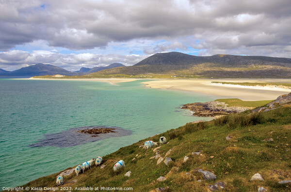 The Locals View of Luskentyre, Harris, Scotland Picture Board by Kasia Design