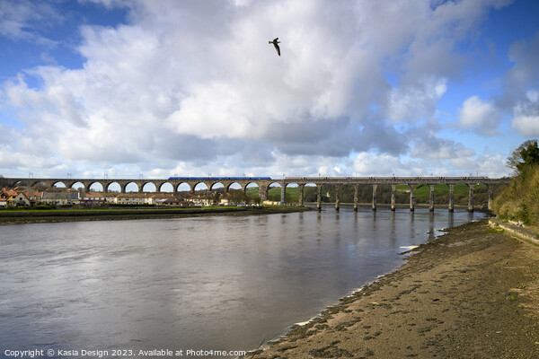 Trains Crossing, Berwick-upon-Tweed Picture Board by Kasia Design