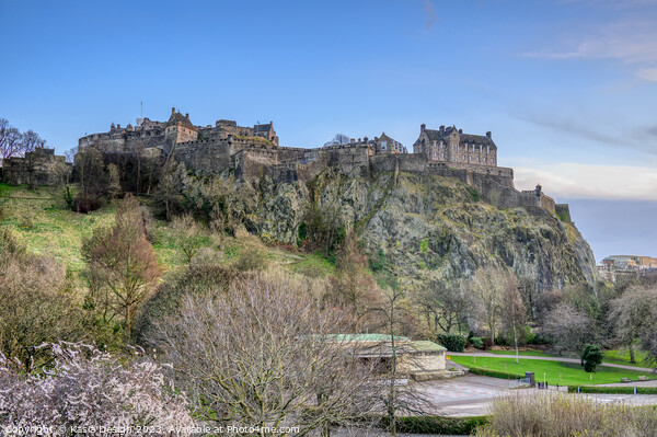 Edinburgh Castle and Princes Street Gardens Picture Board by Kasia Design