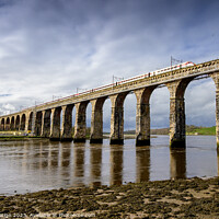 Buy canvas prints of Royal Border Bridge, Berwick-upon-Tweed. by Kasia Design