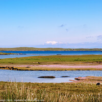 Buy canvas prints of Beautiful Pink Thrift Vista on North Uist by Kasia Design