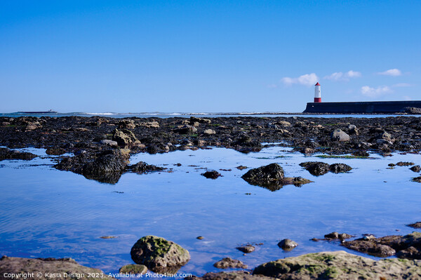 Berwick Lighthouse beyond the Rocks Picture Board by Kasia Design