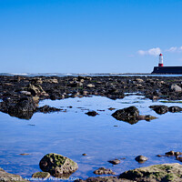 Buy canvas prints of Berwick Lighthouse beyond the Rocks by Kasia Design