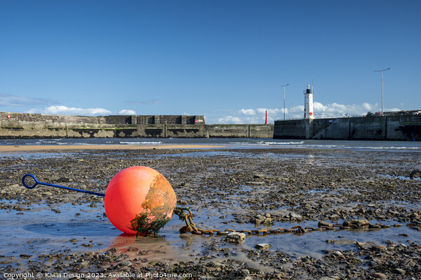 Low Tide in Anstruther Harbour Picture Board by Kasia Design