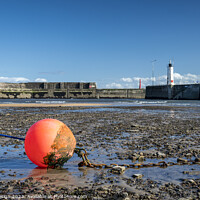 Buy canvas prints of Low Tide in Anstruther Harbour by Kasia Design