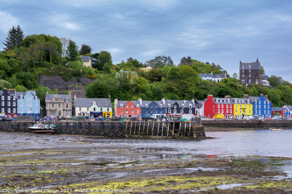 Vibrant Tobermory Harbour at Low Tide Picture Board by Kasia Design