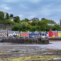Buy canvas prints of Vibrant Tobermory Harbour at Low Tide by Kasia Design