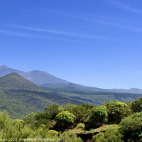 Buy canvas prints of El Teide and Pico del Teide in Spring by Kasia Design