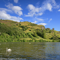 Buy canvas prints of Swans on St Margaret's Loch by Kasia Design