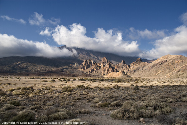 El Teide Looking Up in Wonder Picture Board by Kasia Design
