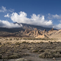 Buy canvas prints of El Teide Looking Up in Wonder by Kasia Design