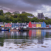 Buy canvas prints of Evening Light in Tobermory Bay by Kasia Design