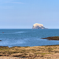 Buy canvas prints of The Bass Rock in all its Magnificence by Kasia Design