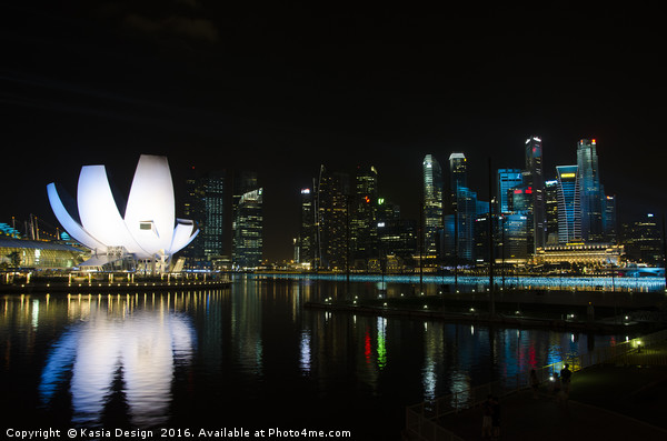 The Lotus at Night, Singapore Picture Board by Kasia Design