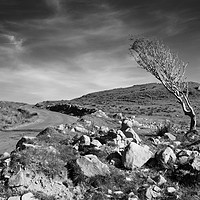 Buy canvas prints of Against the Odds, Islay, Scotland by Kasia Design