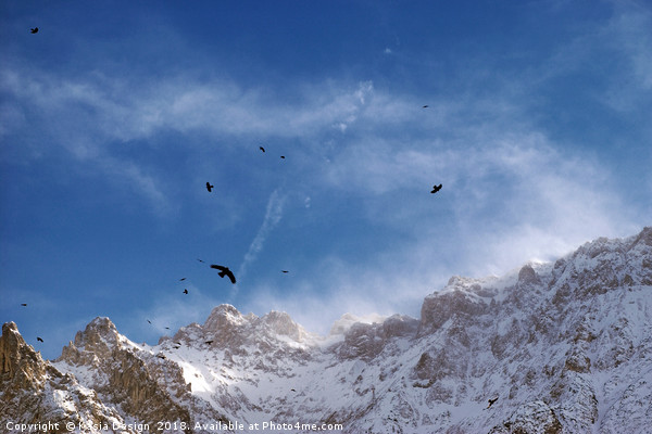 Soaring Above the Alps Picture Board by Kasia Design