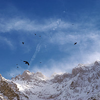 Buy canvas prints of Soaring Above the Alps by Kasia Design