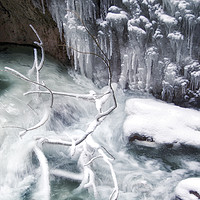Buy canvas prints of Nature's Frozen Work of Art by Kasia Design